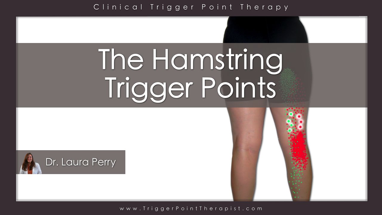 The Hamstring Trigger Points