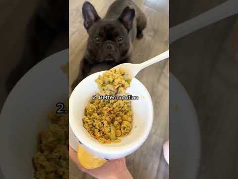 3 Reasons to Switch to Fresh Food for Your Furry Friend! 1️⃣ Doorstep Delight: The Farmer's Dog deli