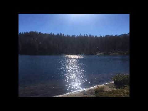 Midwest Emo X Pop Punk Type Beat X Instrumental (Prod. Beef Drew)