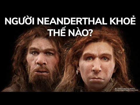 Ai sẽ thắng: Người Này Nay hay Người Neanderthal?