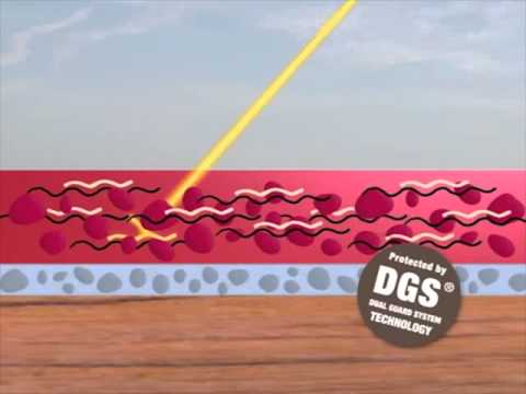 Grachtengroen verf Grachtengroen verf