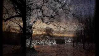 Calico Horse - Idioteque