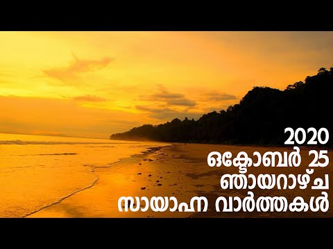 2020 October 25th Evening News