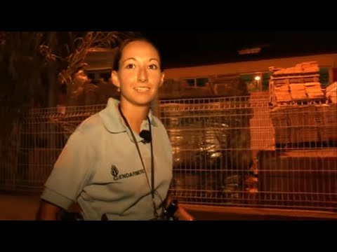 En plein été, la traque aux pyromanes