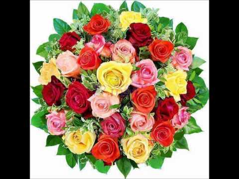 Vídeo: Frases 9 Meses de Namoro: perguntas e respostas