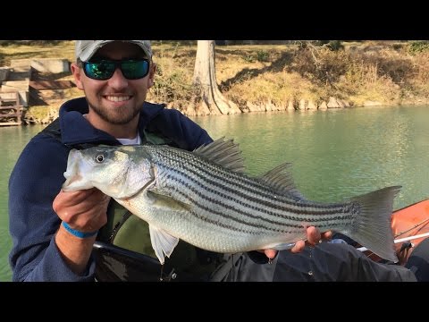 Quest For my First Striper!