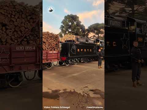 🇧🇷 Trem em manobras / Train in maneuvers - Mafra/SC - 2025 - (Brasil) #steamlocomotive #shortsvideo