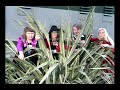 1974 Eurovision Song Contest In Brighton England SONGS ONLY