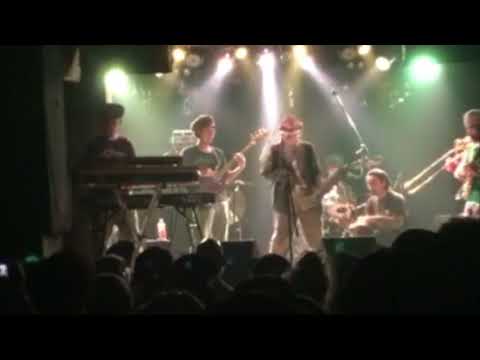 Itak shaggy Tojo  with  DESANCO