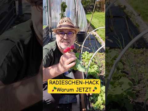 Radieschen säen: Schnelle Ernte JETZT sichern!