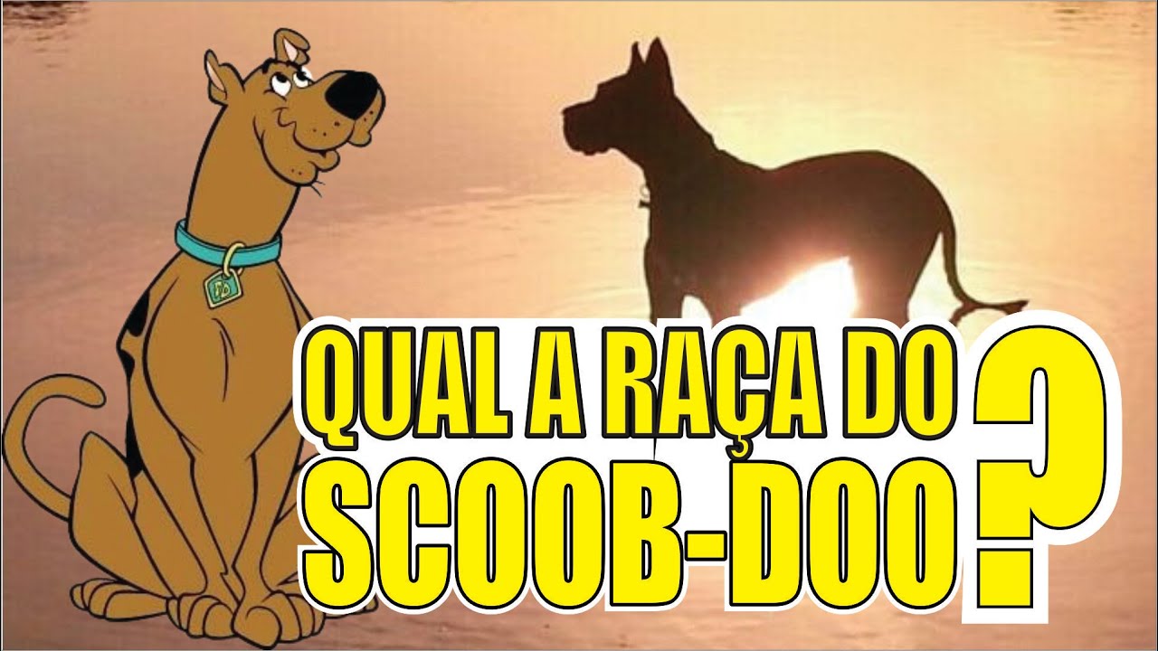 Watch Now QUAL A RAÇA DOS CACHORROS DA PATRULHA CANINA E OUTROS DESENHOS QUAL A RAÇA DOS CACHORROS DA PATRULHA CANINA E OUTROS DESENHOS