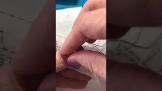 Outline Stitch According to the Plaid / Bucilla Instructions