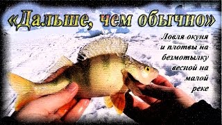 Удочка зимняя trout pro light черная ql-703