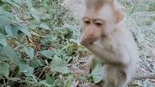 VID20241226172413 play t 2