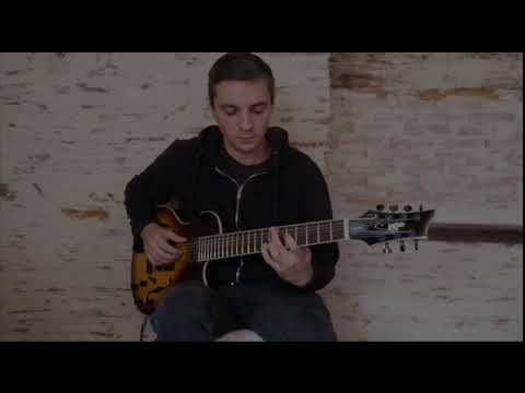 Jazzcat semi hollow 7 string image 7