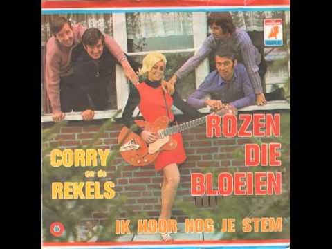 Corry En De Rekels Rozen Die Bloeien