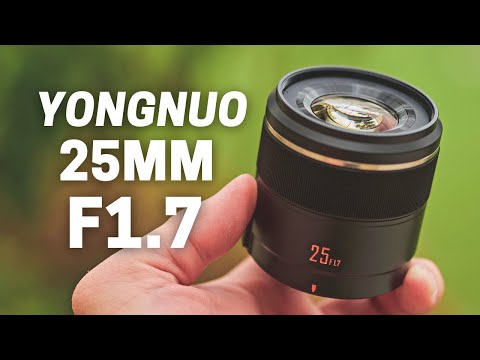 Video thumbnail for Video Review 1