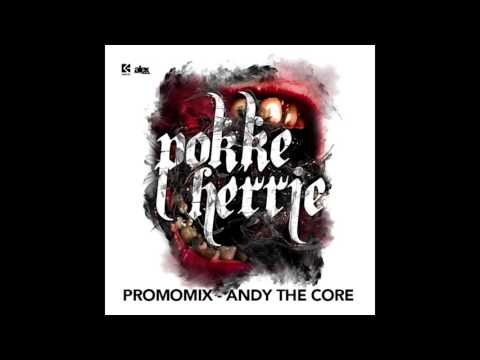 Andy The Core - Pokke Herrie Promomix