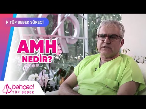 AMH nedir?