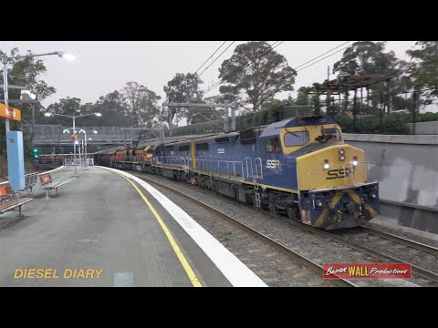 Australian diesel locomotives C505, C504, BRM001, BRM002, 44206 & 44204 - Beecroft - December 2019