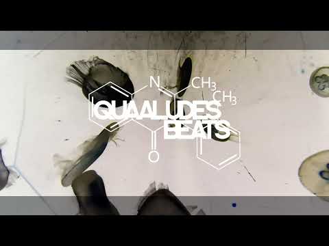 Quaaludes Beats - fuckyourmind | Official Video