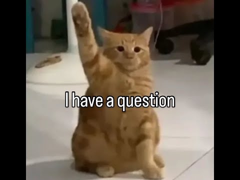 𝐰𝐢𝐬𝐡 𝐢 𝐜𝐨𝐮𝐥𝐝 𝐡𝐚𝐭𝐞 𝐲𝐨𝐮.