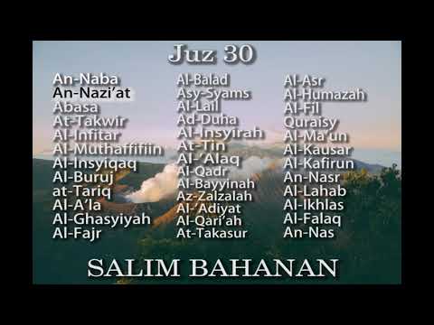 Murottal Al-Qur'an Juz 30 Full ~Salim Bahanan