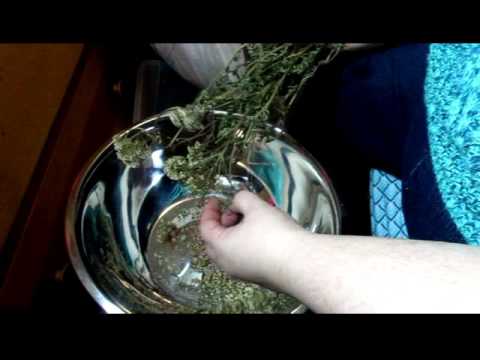 download lagu mp3 mp4 How To Make Yarrow Tea, download mp3 How To Make Yarrow Tea free download, download mp3 How To Make Yarrow Tea