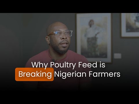 Thumbnail for Why Poultry Feed is Breaking Nigerian Farmers