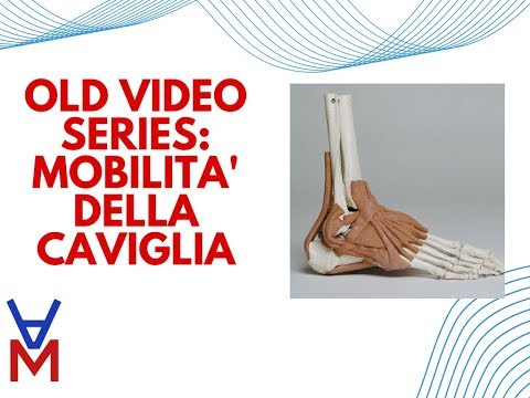 Come controllare la colonna vertebrale cervicale Che cazzo fare artrosi al ginocchio 1 volte