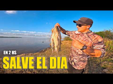 GRAN DIA DE PESCA EN DISTINTOS LUGARES / ¿DE DONDE SALEN TANTOS MONCHOLOS?