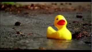 Stormwater Prevention PSA