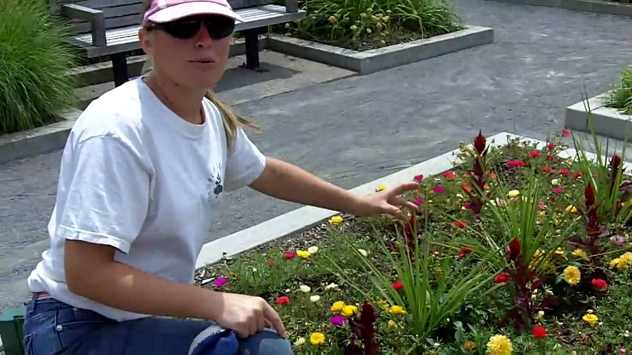 A Tour of the Schenley Plaza Gardens