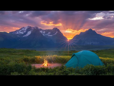 Solitude in the Wild: Sunset Campfire in the Meadow | Sleep to Nature’s Calm