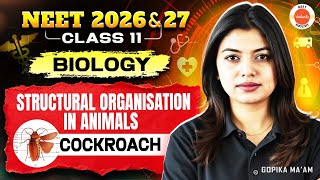 Structural Organisation in Animals: Cockroach