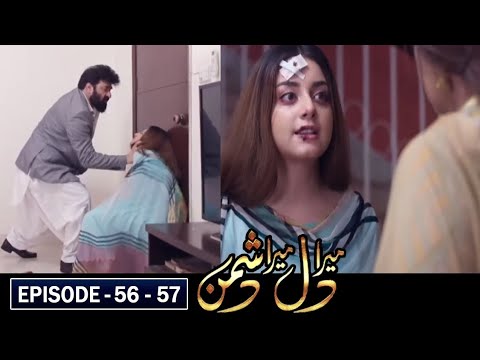 Mera Dil Mera Dushman Episode 56 Promo || mera Dil Mera Dushman ||  28August