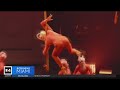 Cirque du Soleil presents Echo at Gulfstream Park