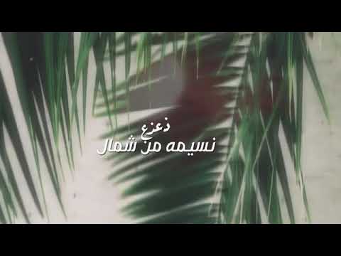 سدرة الوادي مشعل الشهراني