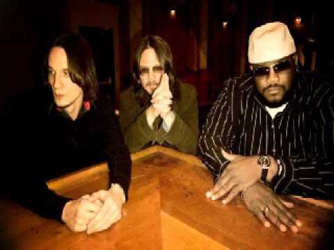 North Mississippi Allstars - Snakes In My Bushes