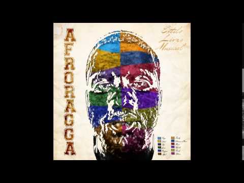 08.AfroRagga - Planeta Estupidez