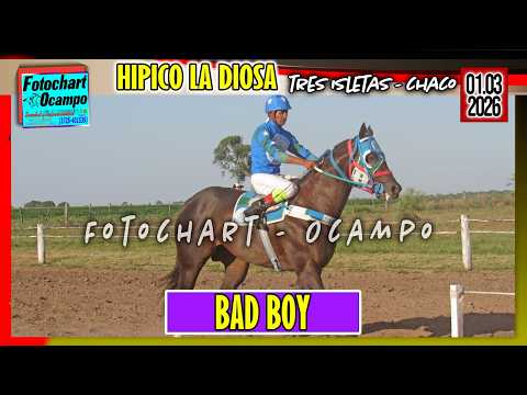 BAD BOY Tres Isletas CH 01 03 2026