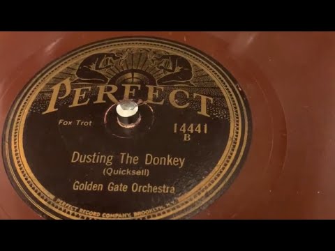 "Dusting the Donkey"- Golden Gate Orchestra (California Ramblers) 1925