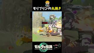 モリブリンをこんがり肉にする方法【ゼルダの伝説 ティアーズ オブ ザ キングダム】#shorts