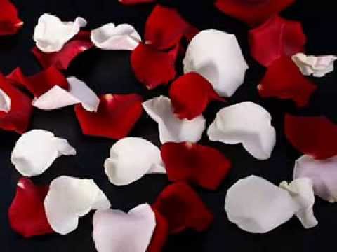 Master Key feat  Martin Kember - My Angel