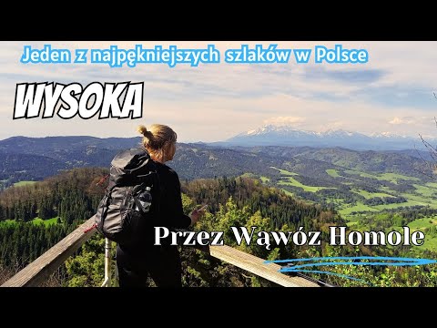 Wysoka przez wąwóz Homole. Pieniny.