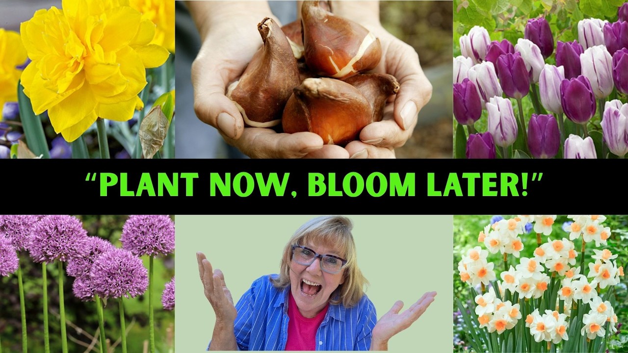 “10 Easy Steps to Plant Fall Bulbs for Stunning Spring Blooms 🌷 | Gardening Made Simple”