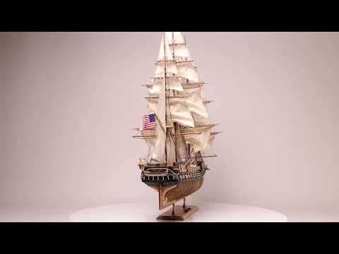 CBD for Cats Video Preview