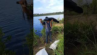 Download lagu pecah recod frdator black #fishing #predator #carpfishing #toppredator mp3
