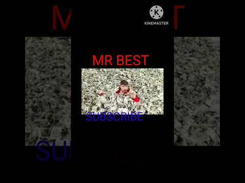 I Gave People $1,000,000 But ONLY 1 Minute To Spend It!