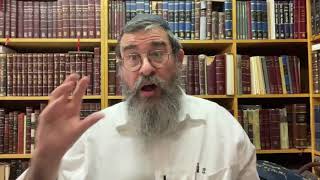 Chassidic Glossary: Adam Kadmon - אדם קדמון , Part 2, Rabbi Yossi Paltiel, 5781
